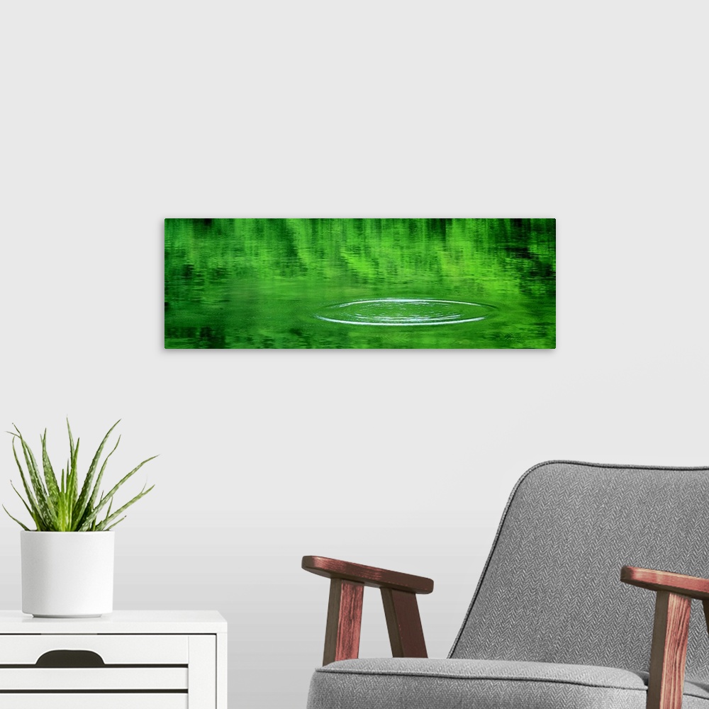 A modern room featuring Panoramic photograph on a large wall hanging of still water that reflects the green landscape abo...