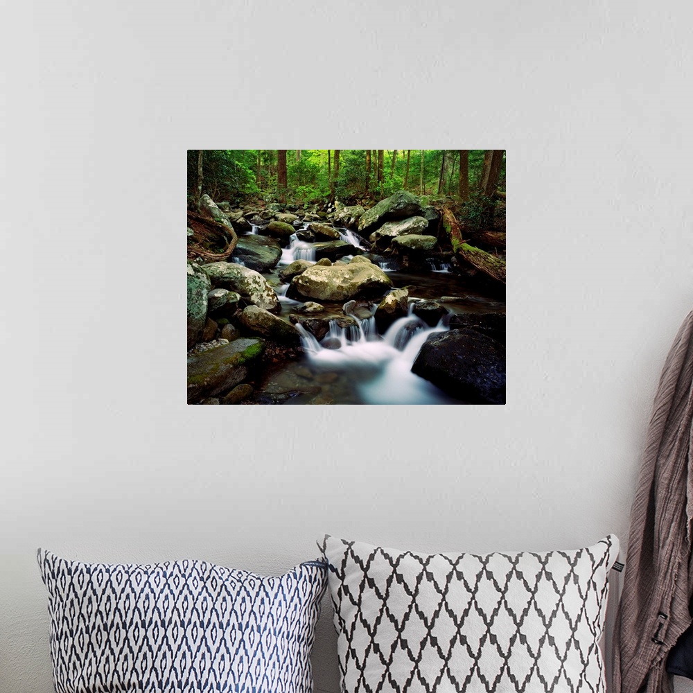 A bohemian room featuring Fresh water pours over and through boulders in a river hidden in a forest.