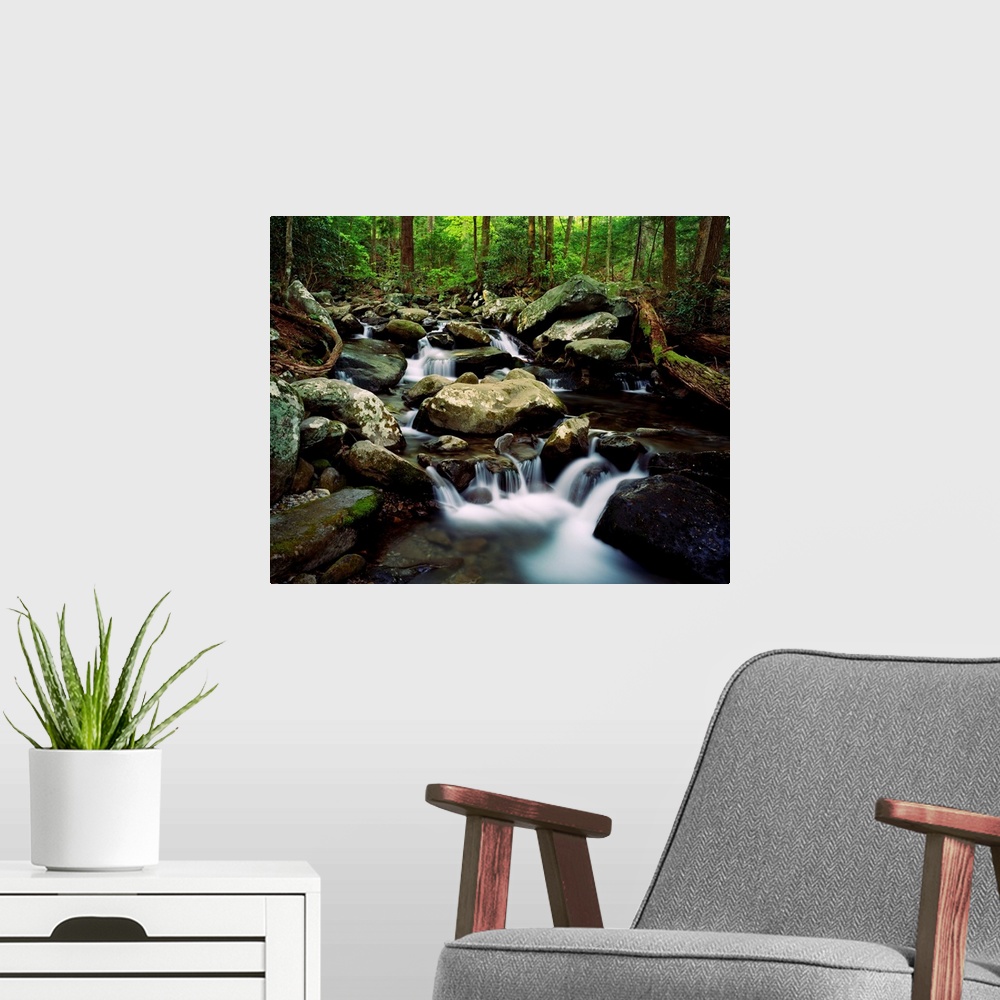 A modern room featuring Fresh water pours over and through boulders in a river hidden in a forest.