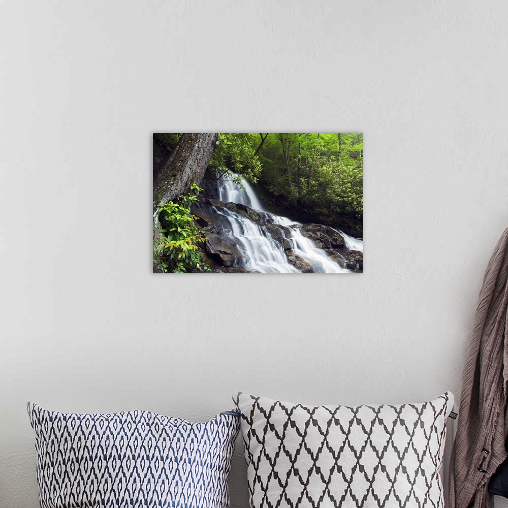 A bohemian room featuring This is a landscape photograph of a waterfall in the forest of a park in the Appalachian Mountains.