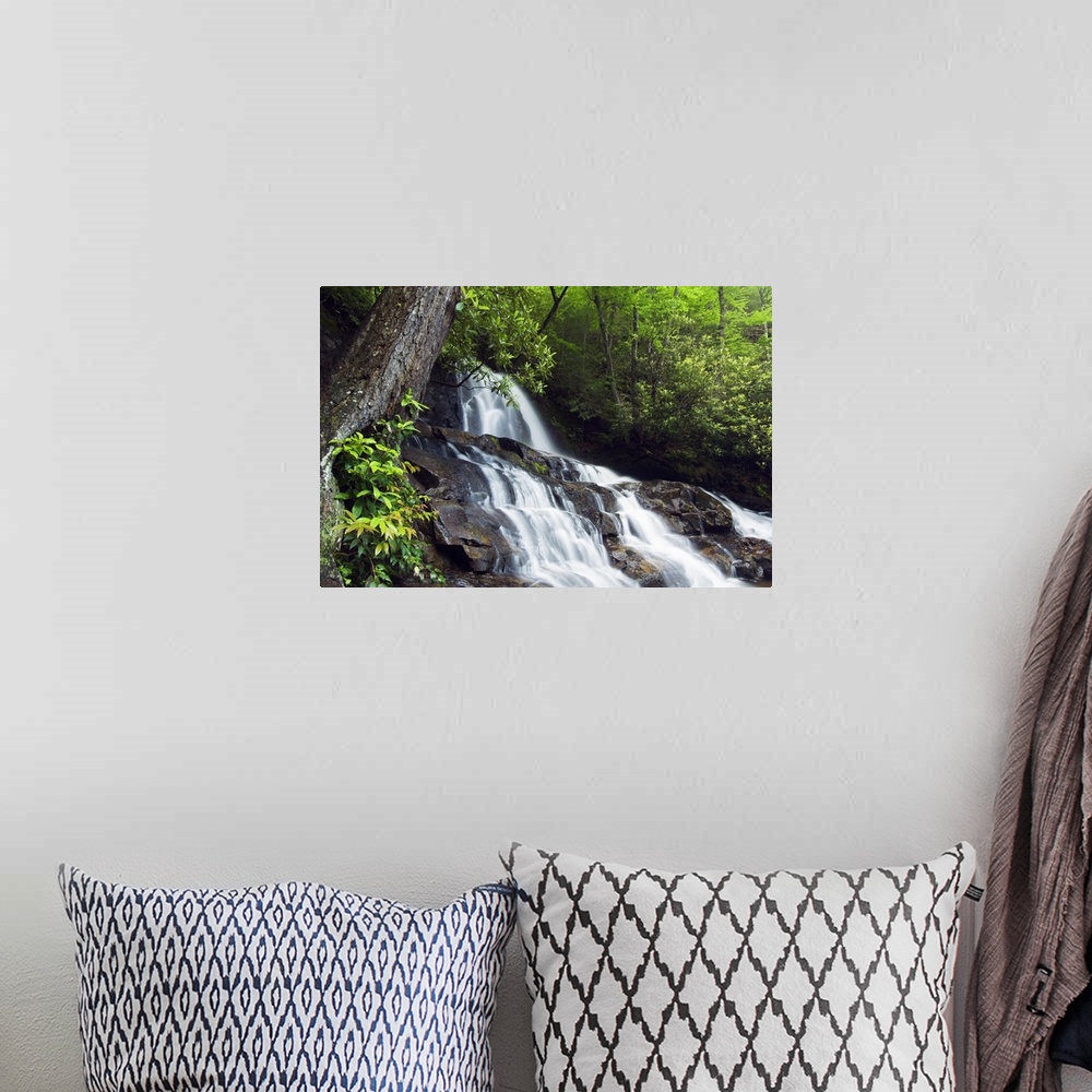 A bohemian room featuring This is a landscape photograph of a waterfall in the forest of a park in the Appalachian Mountains.