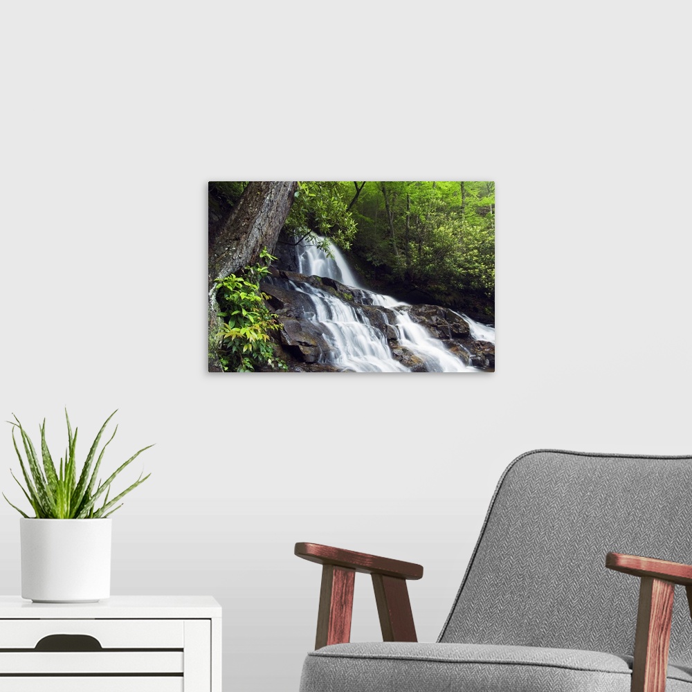 A modern room featuring This is a landscape photograph of a waterfall in the forest of a park in the Appalachian Mountains.