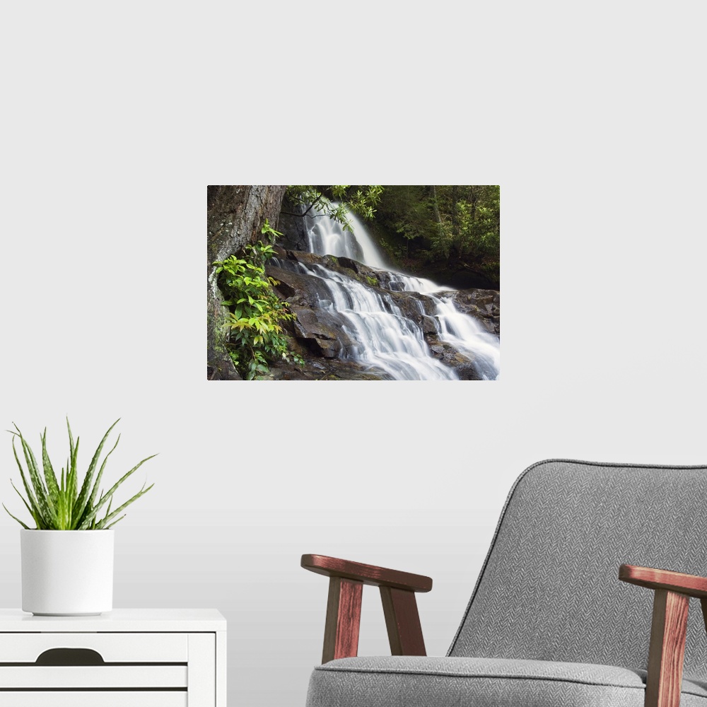 A modern room featuring Big photograph displays a waterfall traveling down jagged rock faces within a dense wilderness ar...