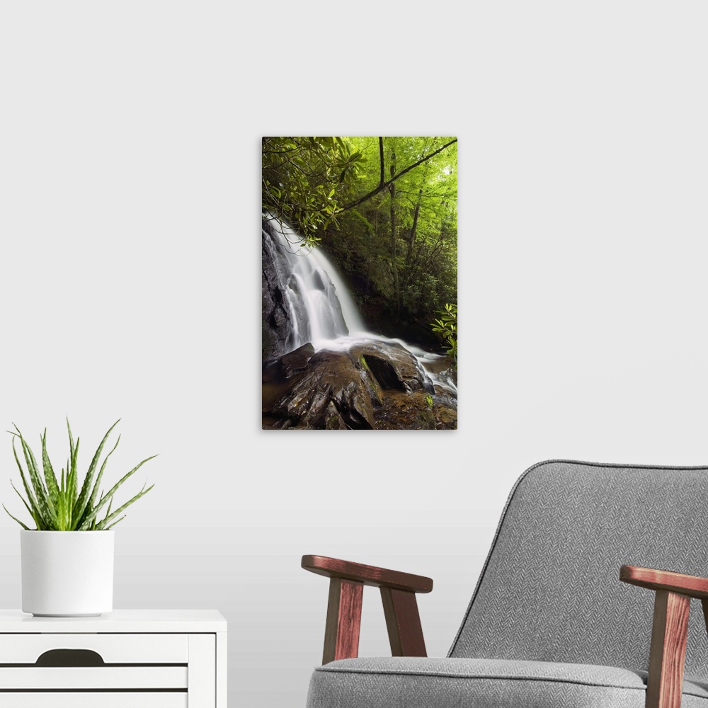 A modern room featuring This vertical nature photograph is a waterfall tumbling over large rocks in a forest in the Appal...