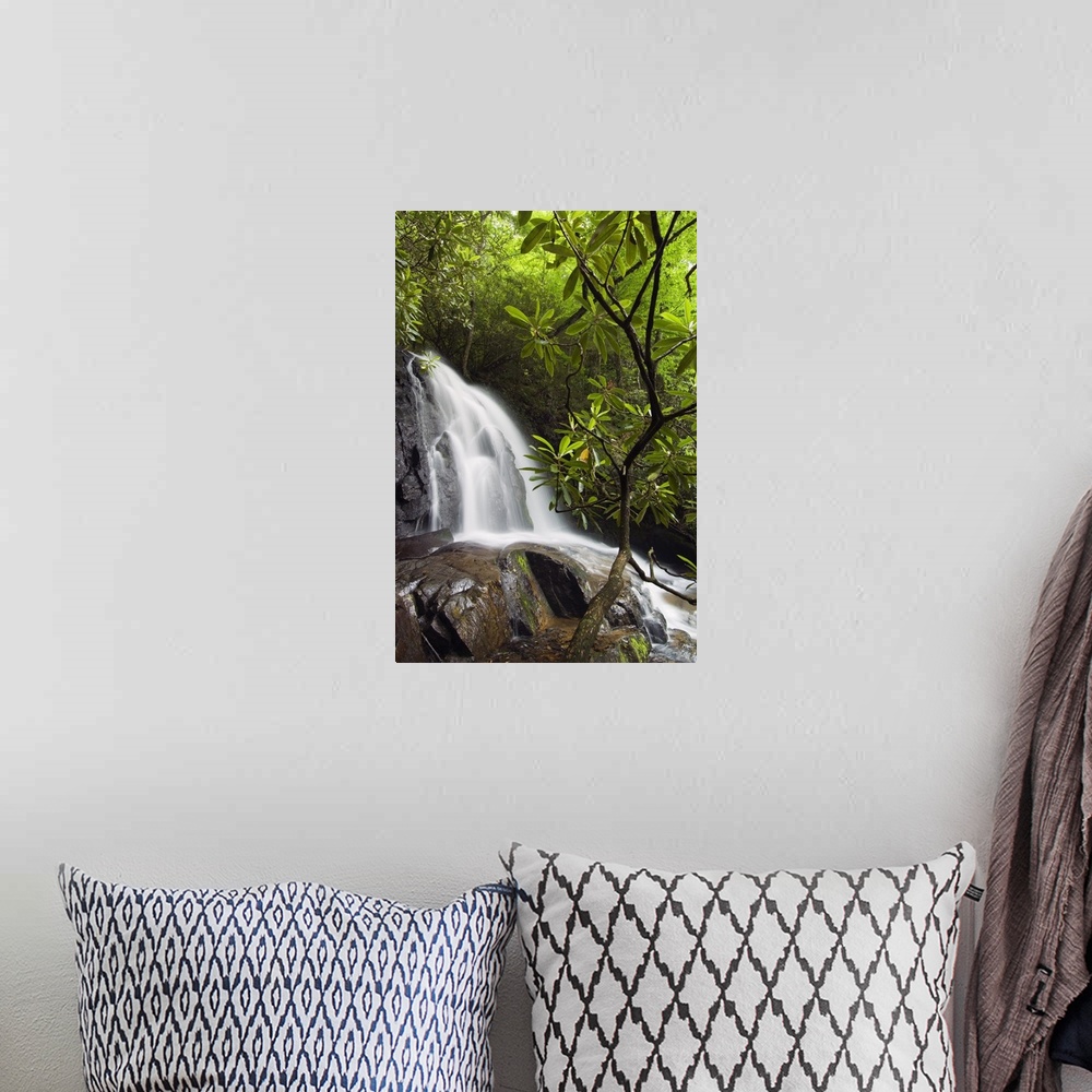 A bohemian room featuring Vertical photograph on a big canvas of Laurel Creek Falls spilling over large rocks, surrounded b...