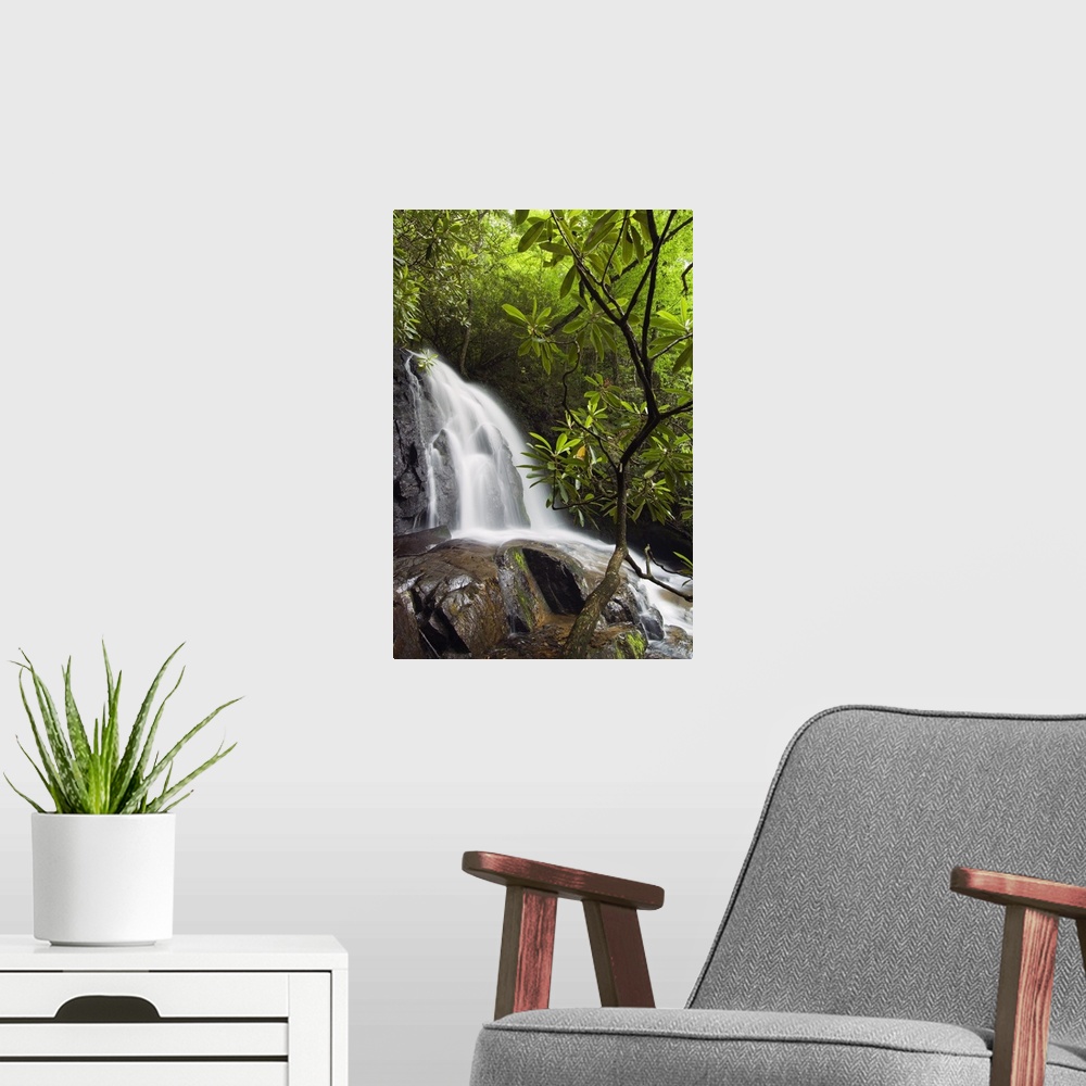 A modern room featuring Vertical photograph on a big canvas of Laurel Creek Falls spilling over large rocks, surrounded b...
