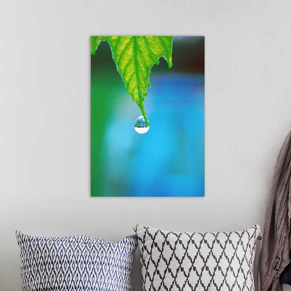 A bohemian room featuring Water drop falling from leaf