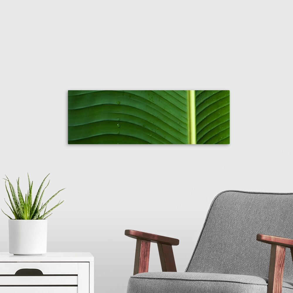 A modern room featuring Palm Leaf Hawaii HI USA
