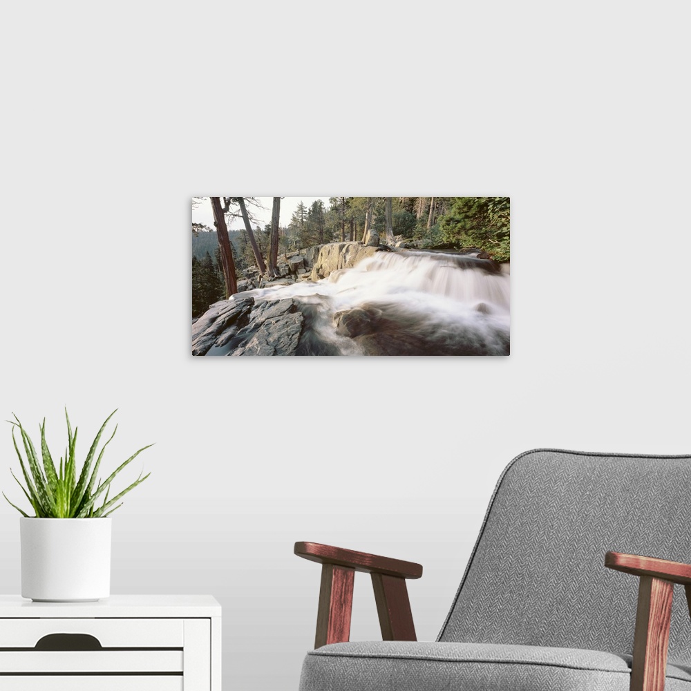 A modern room featuring A picture that has been taken of a waterfall flowing over large rocks and surrounded by a dense f...