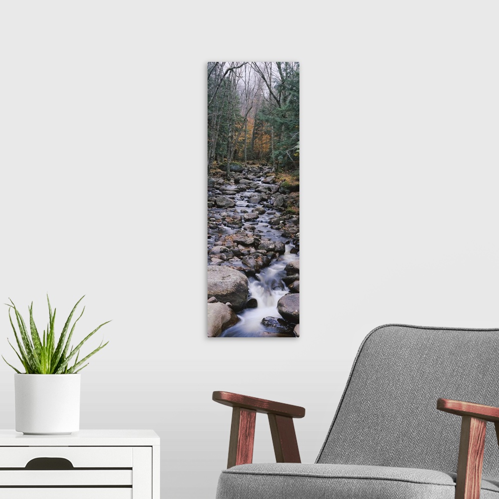 A modern room featuring Water flowing in the forest, Adirondack Mountains, New York State