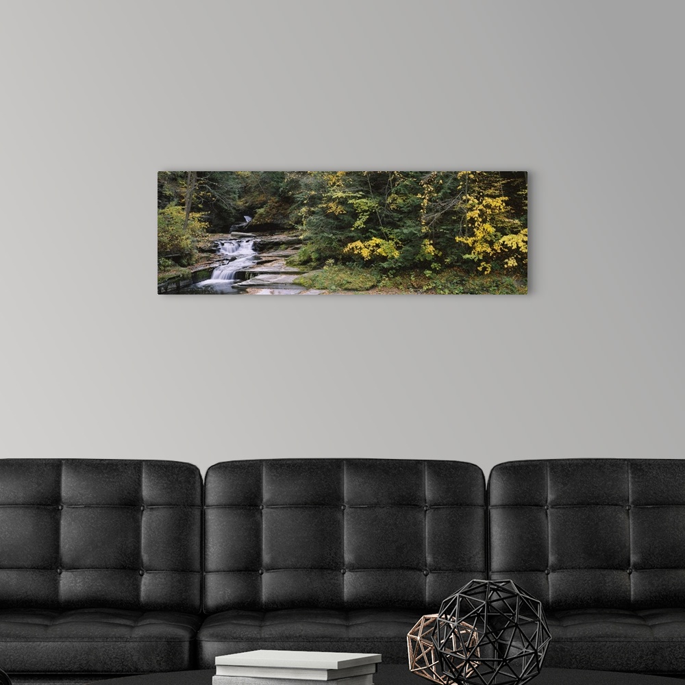 A modern room featuring Water flowing in the forest, Montour Falls, Havana Glen, New York State