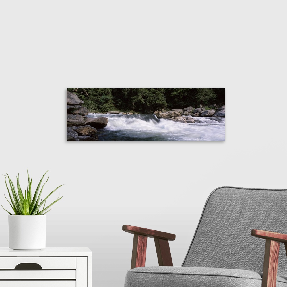 A modern room featuring Water flowing through rocks, Bull Sluice, Chattooga River, South Carolina and Georgia