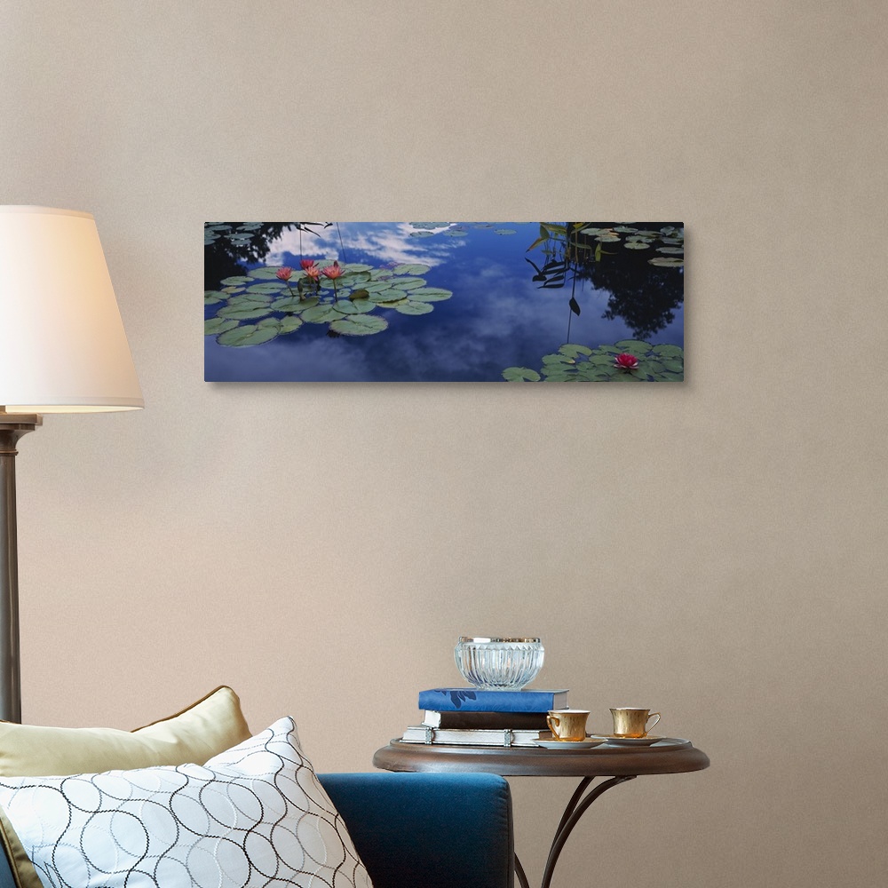 A traditional room featuring This was art is a panoramic shapes photograph that is a close up of lily pads floating on water r...