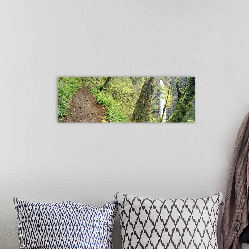 A bohemian room featuring Waterfall and Hiking Trail OR