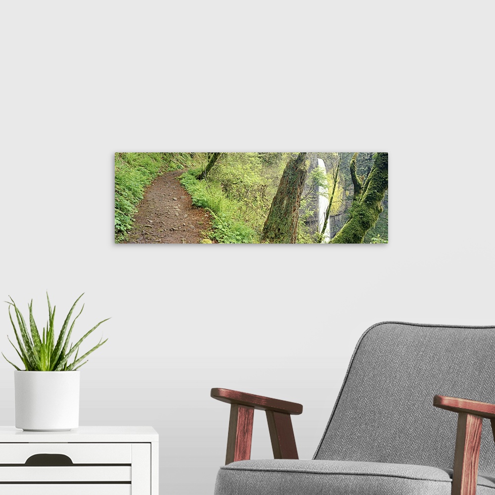 A modern room featuring Waterfall and Hiking Trail OR