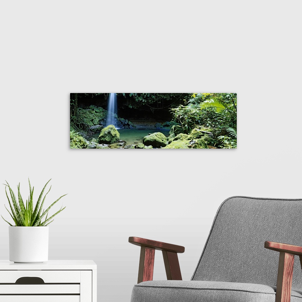 A modern room featuring Waterfall Dominica Windward Islands