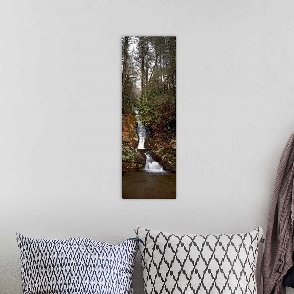 A bohemian room featuring Waterfall in a forest, Appalachian Mountains, North Carolina,