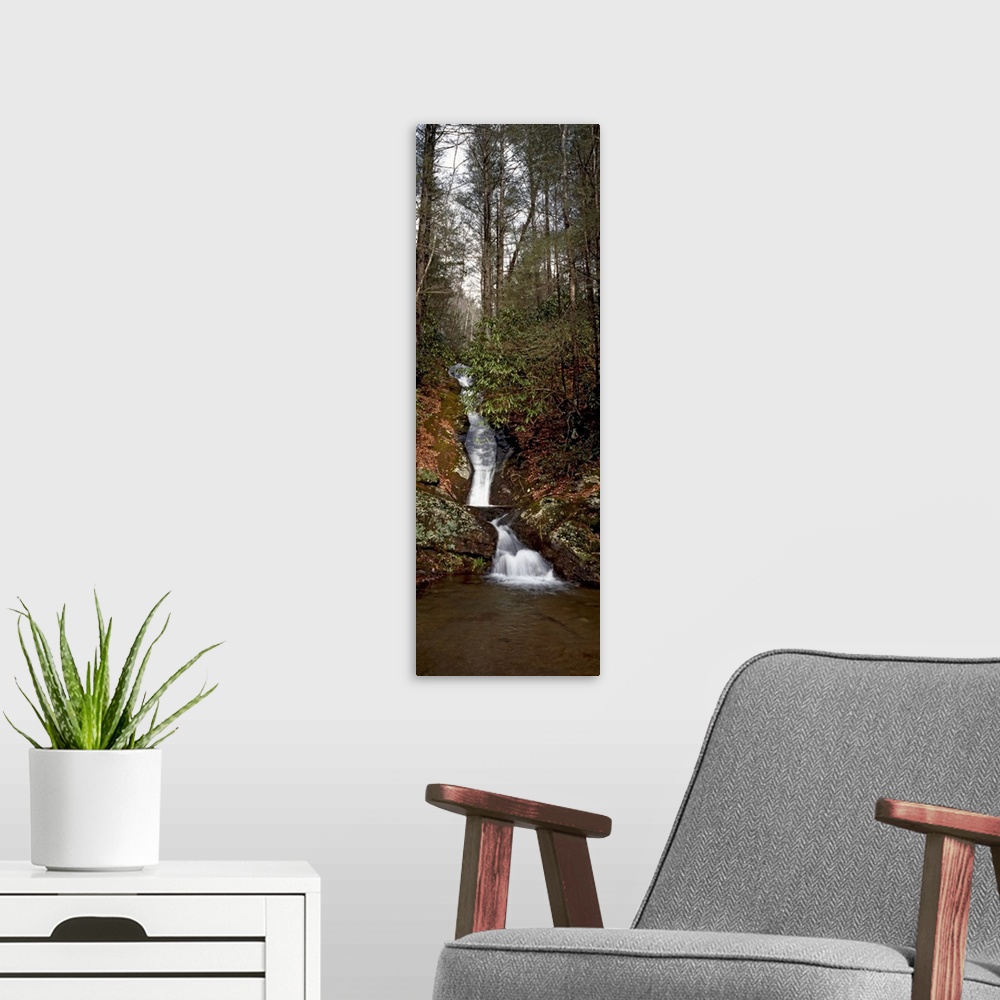 A modern room featuring Waterfall in a forest, Appalachian Mountains, North Carolina,