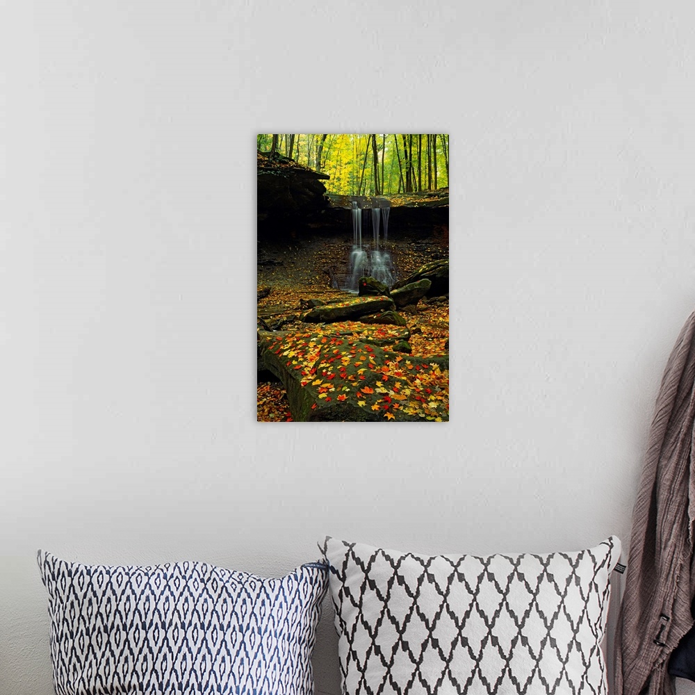 A bohemian room featuring Big photograph focuses on water cascading off of a cliff and hitting the jagged rocks below in th...
