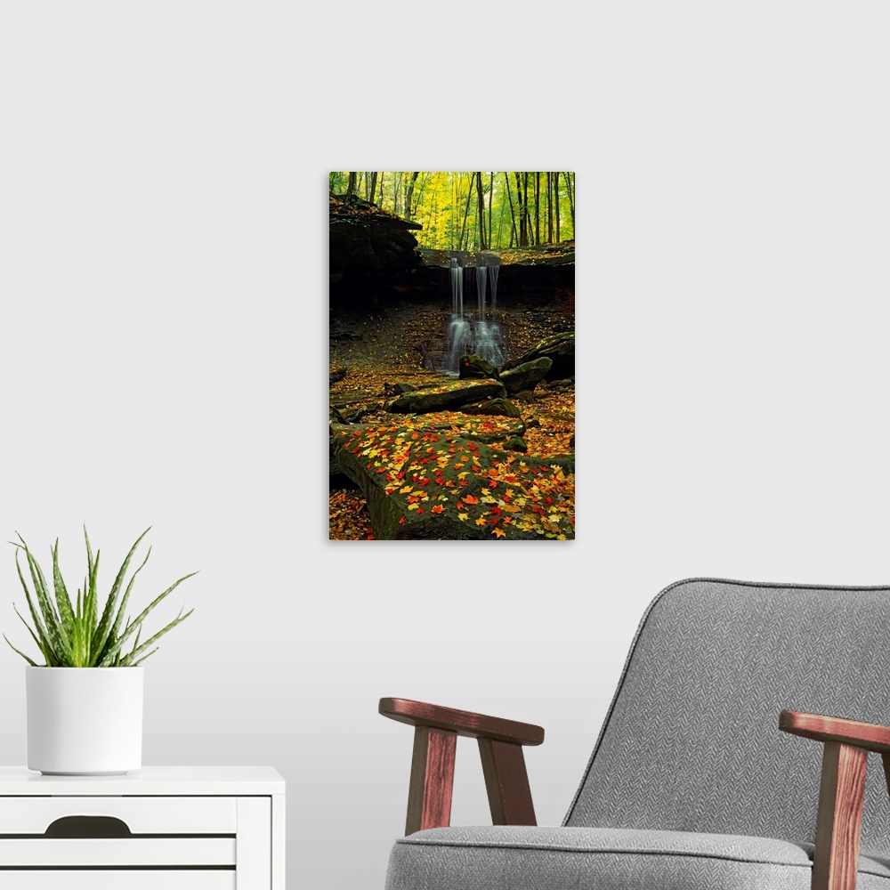 A modern room featuring Big photograph focuses on water cascading off of a cliff and hitting the jagged rocks below in th...