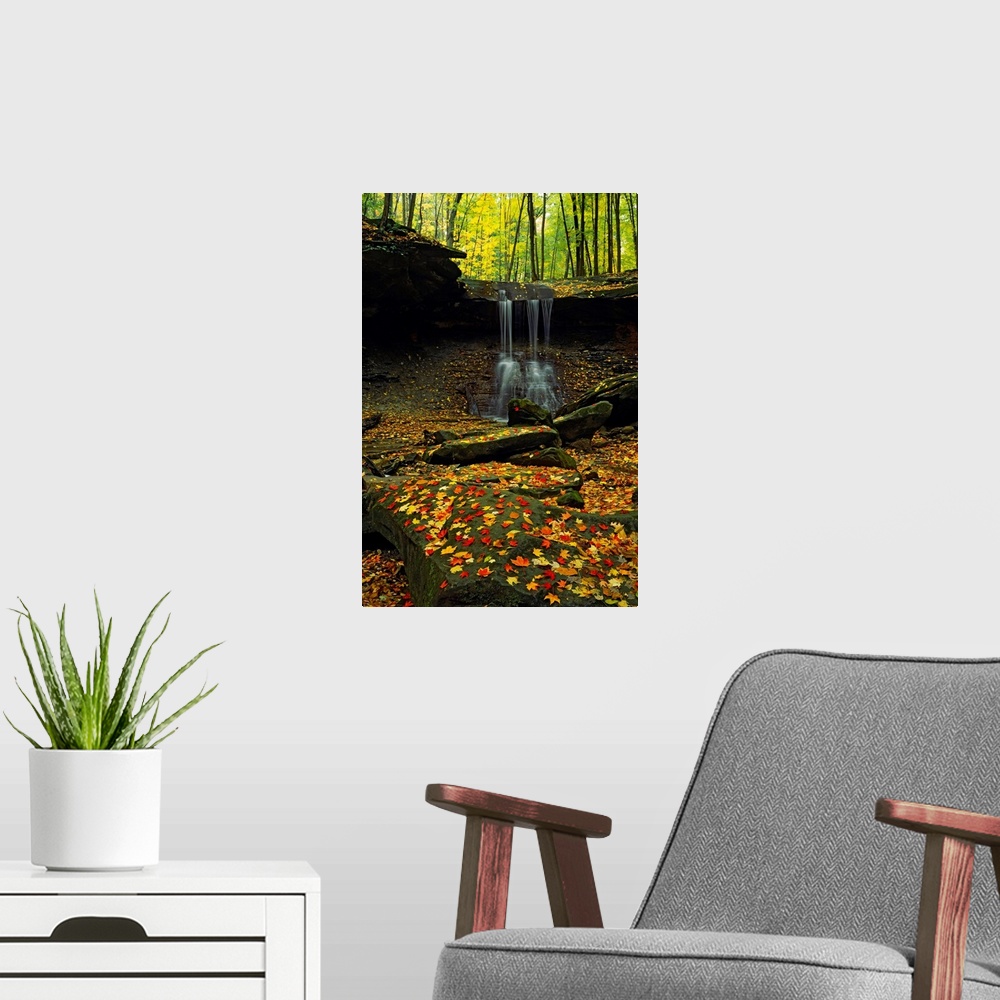 A modern room featuring Big photograph focuses on water cascading off of a cliff and hitting the jagged rocks below in th...