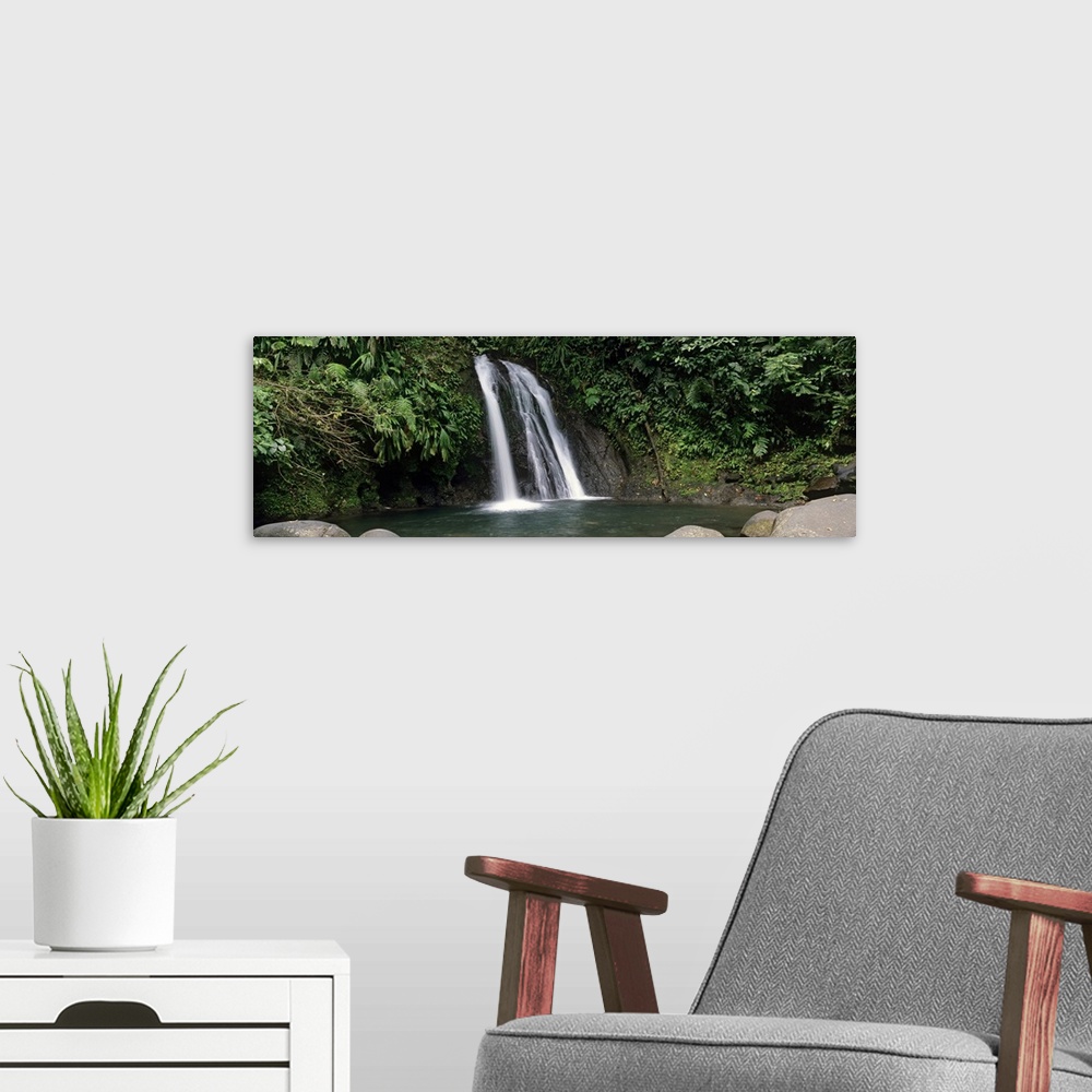 A modern room featuring Waterfall in a forest, Cascade aux Ecrevisses, Guadeloupe National Park, Guadeloupe