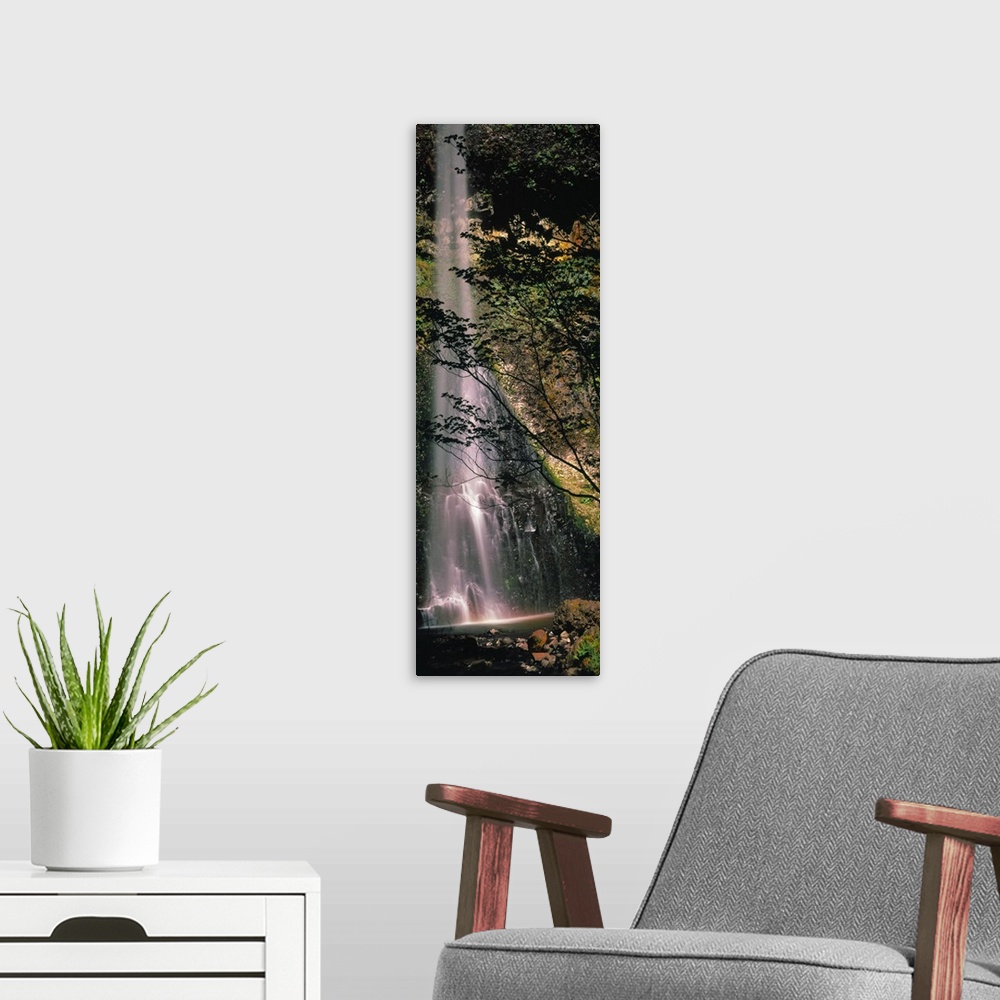 A modern room featuring Waterfall in a forest, Columbia Gorge, Oregon,