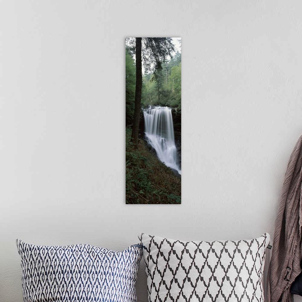 A bohemian room featuring Waterfall in a forest, Dry Falls, Nantahala National Forest, Macon County, North Carolina