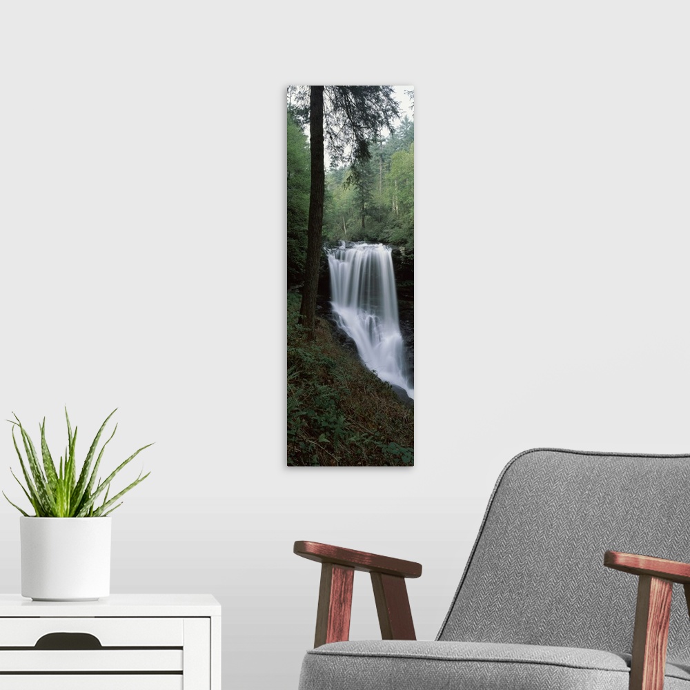 A modern room featuring Waterfall in a forest, Dry Falls, Nantahala National Forest, Macon County, North Carolina