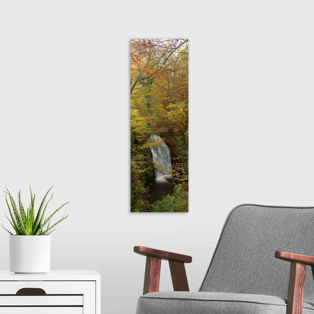 A modern room featuring Waterfall in a forest, Falling Foss, Whitby, England