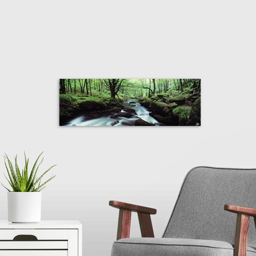 A modern room featuring Waterfall in a forest Golitha Falls River Fowey Cornwall England