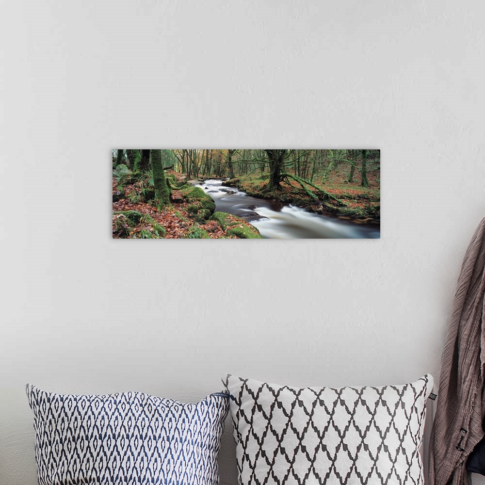 A bohemian room featuring Waterfall in a forest Golitha Falls River Fowey Cornwall England