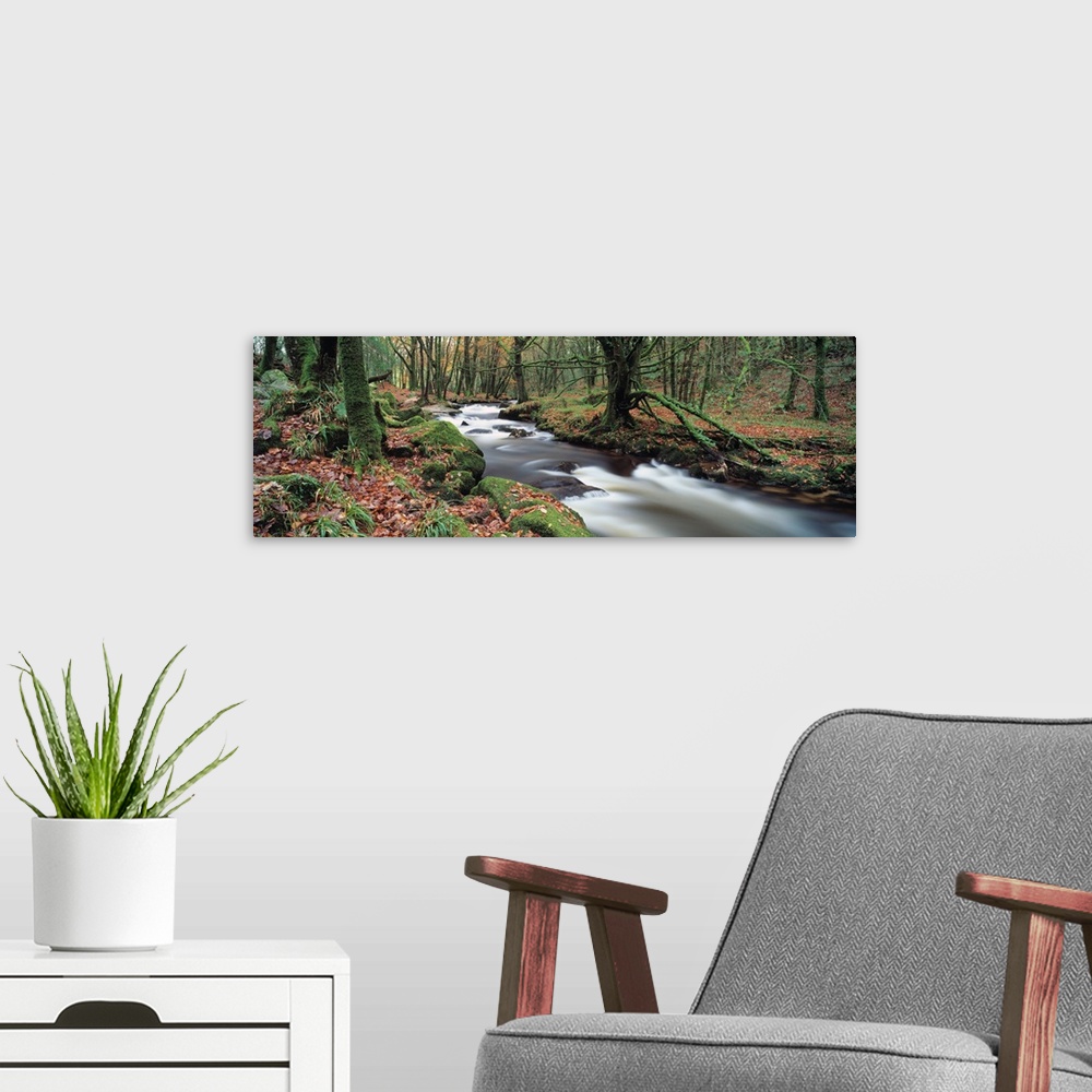 A modern room featuring Waterfall in a forest Golitha Falls River Fowey Cornwall England