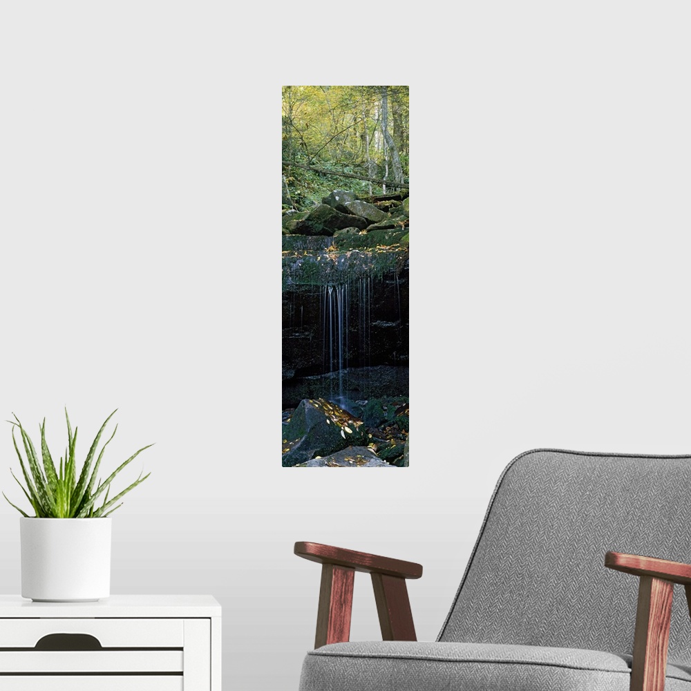 A modern room featuring This wall art is a vertical, panoramic photograph of water trickling down a rock shelf in an Appa...