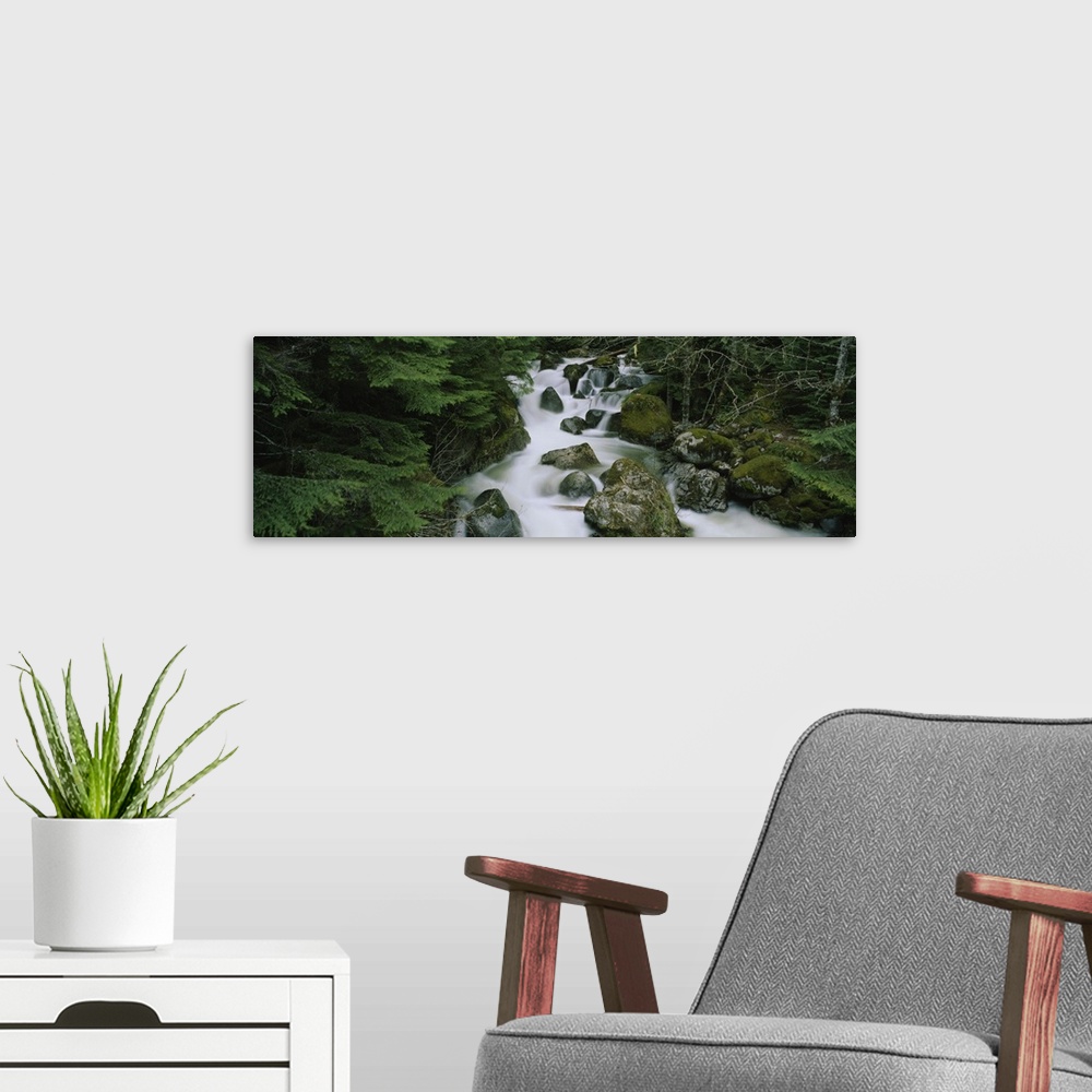 A modern room featuring Waterfall in a forest, Kelley Creek, Mt Baker-Snoqualmie National Forest, King County, Washington...