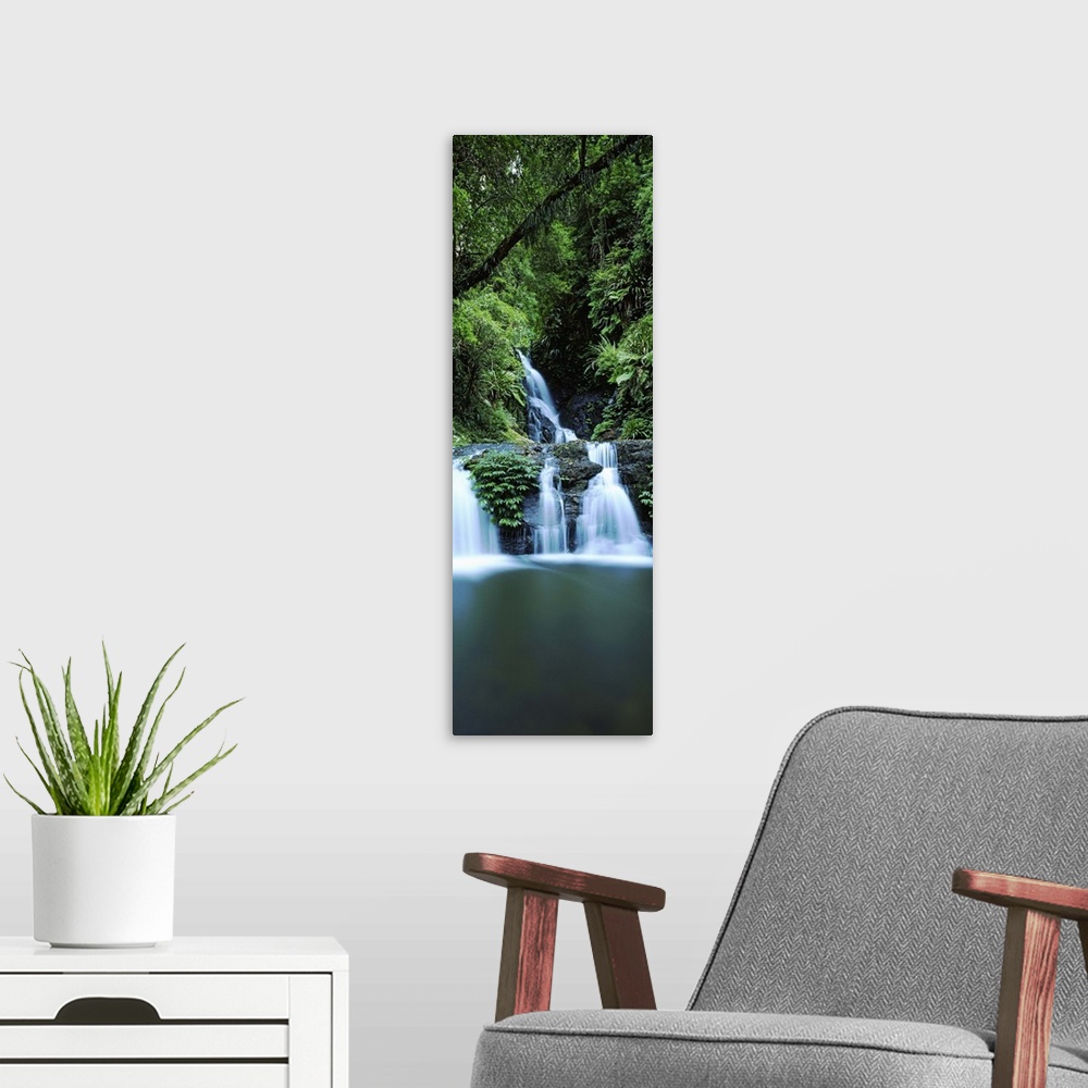 A modern room featuring Waterfall in a forest, Lamington National Park, Queensland, Australia