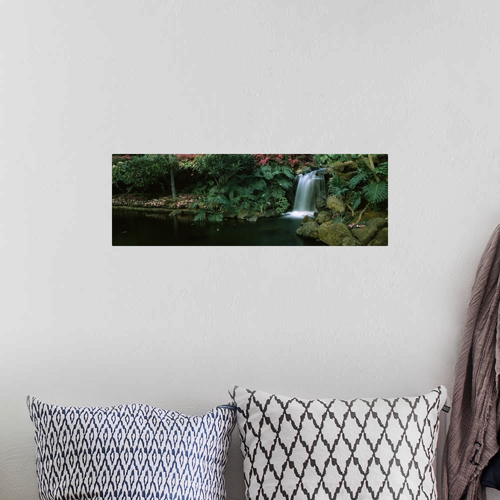A bohemian room featuring A panoramic photograph of a tropical garden, small cascade tumbles into a circular pool lined wit...