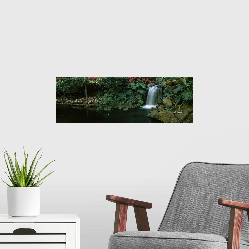 A modern room featuring A panoramic photograph of a tropical garden, small cascade tumbles into a circular pool lined wit...