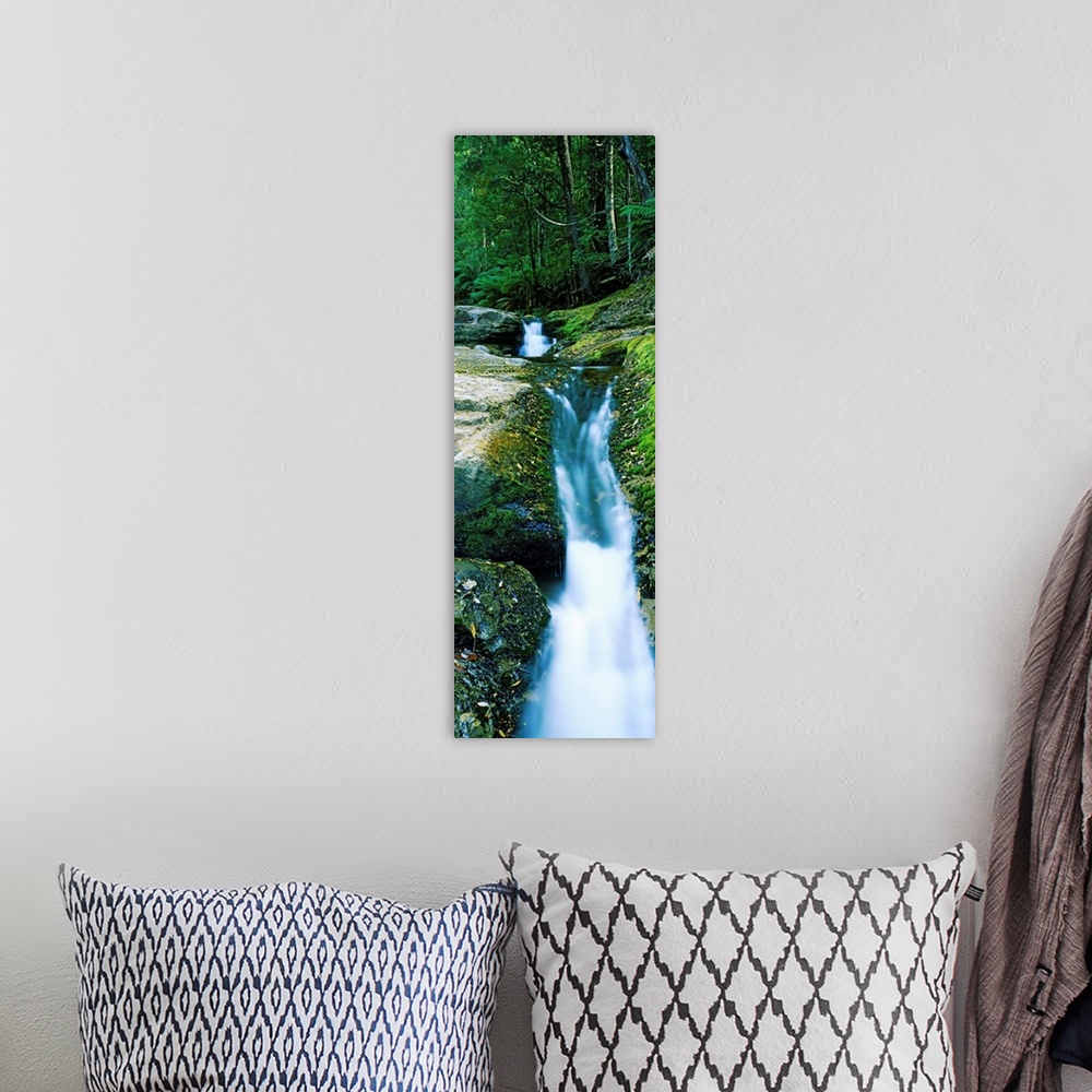 A bohemian room featuring Waterfall in a forest, Liffey Falls, Liffey River, Tasmania, Australia