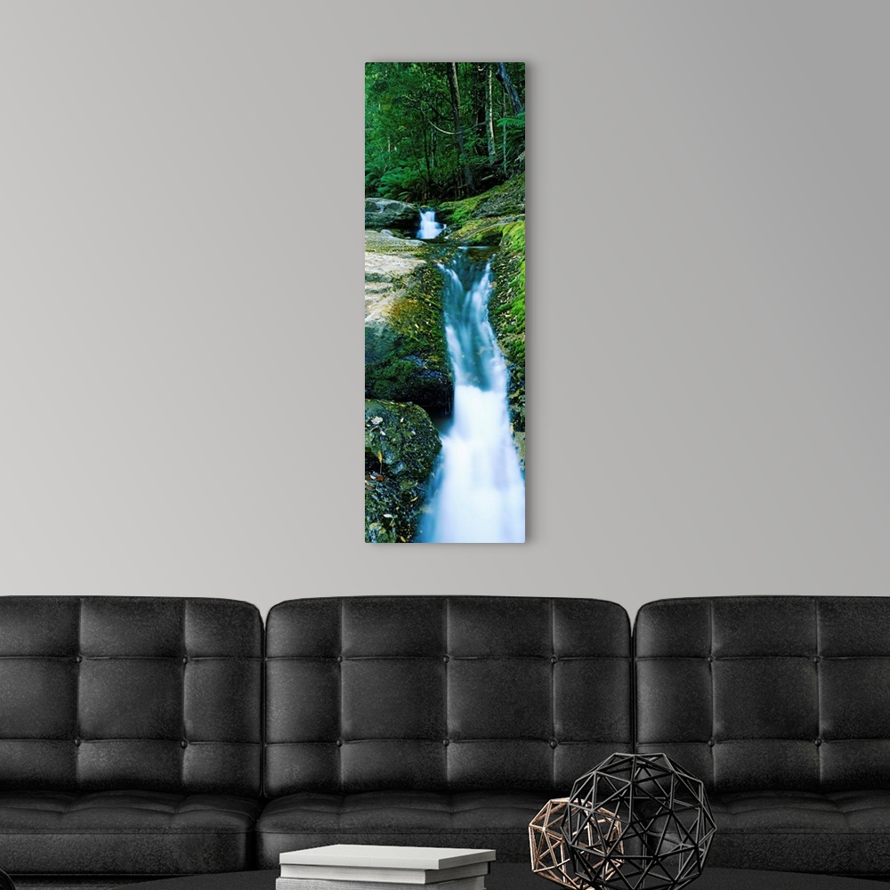 A modern room featuring Waterfall in a forest, Liffey Falls, Liffey River, Tasmania, Australia