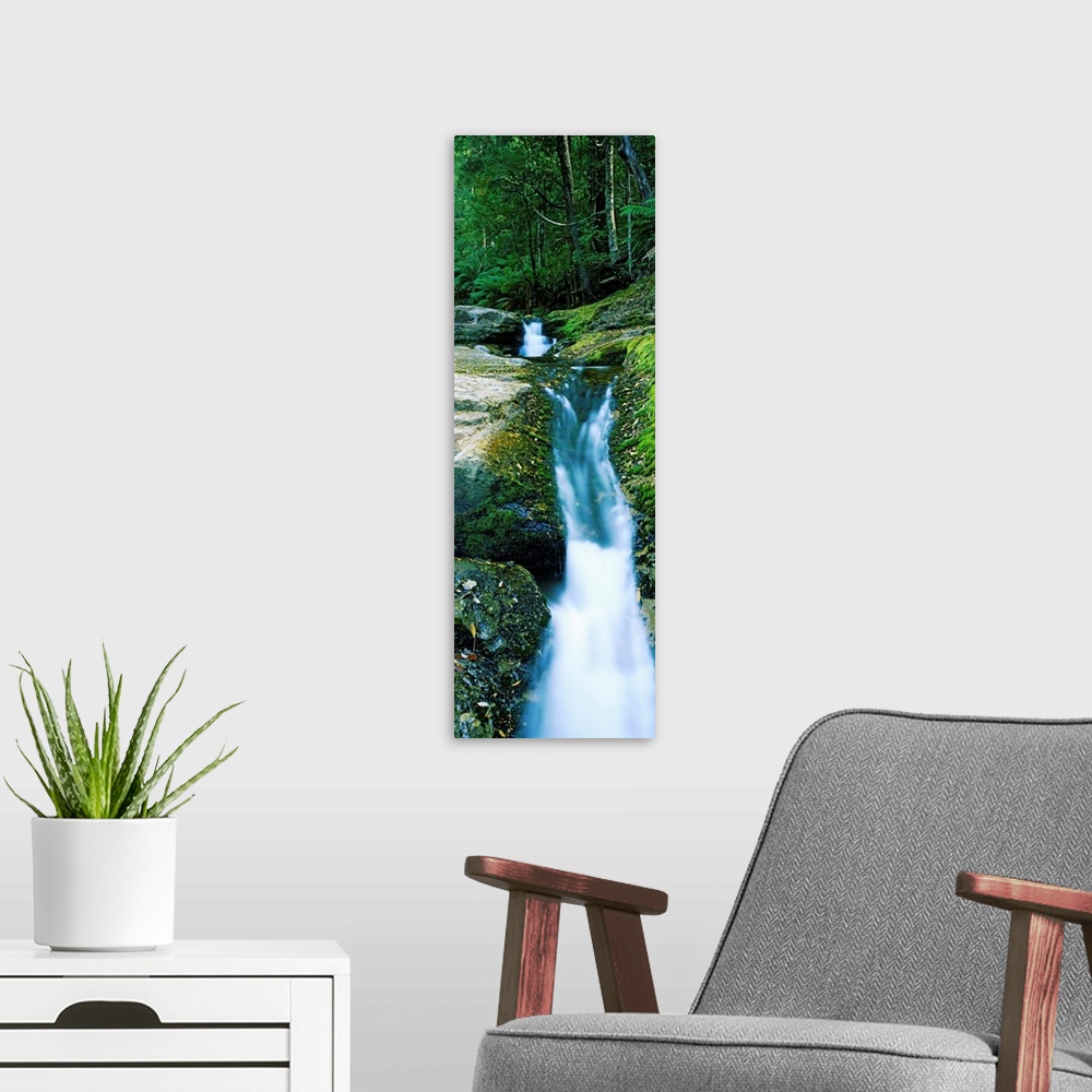 A modern room featuring Waterfall in a forest, Liffey Falls, Liffey River, Tasmania, Australia