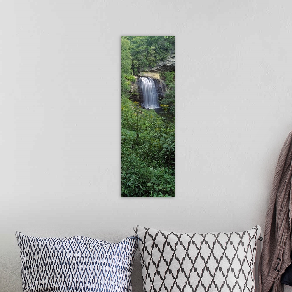A bohemian room featuring Looking Glass Falls, Pisgah National Forest, North Carolina, USA