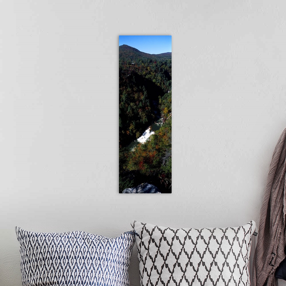 A bohemian room featuring Oceana Falls, Tallulah Gorge, Georgia, USA