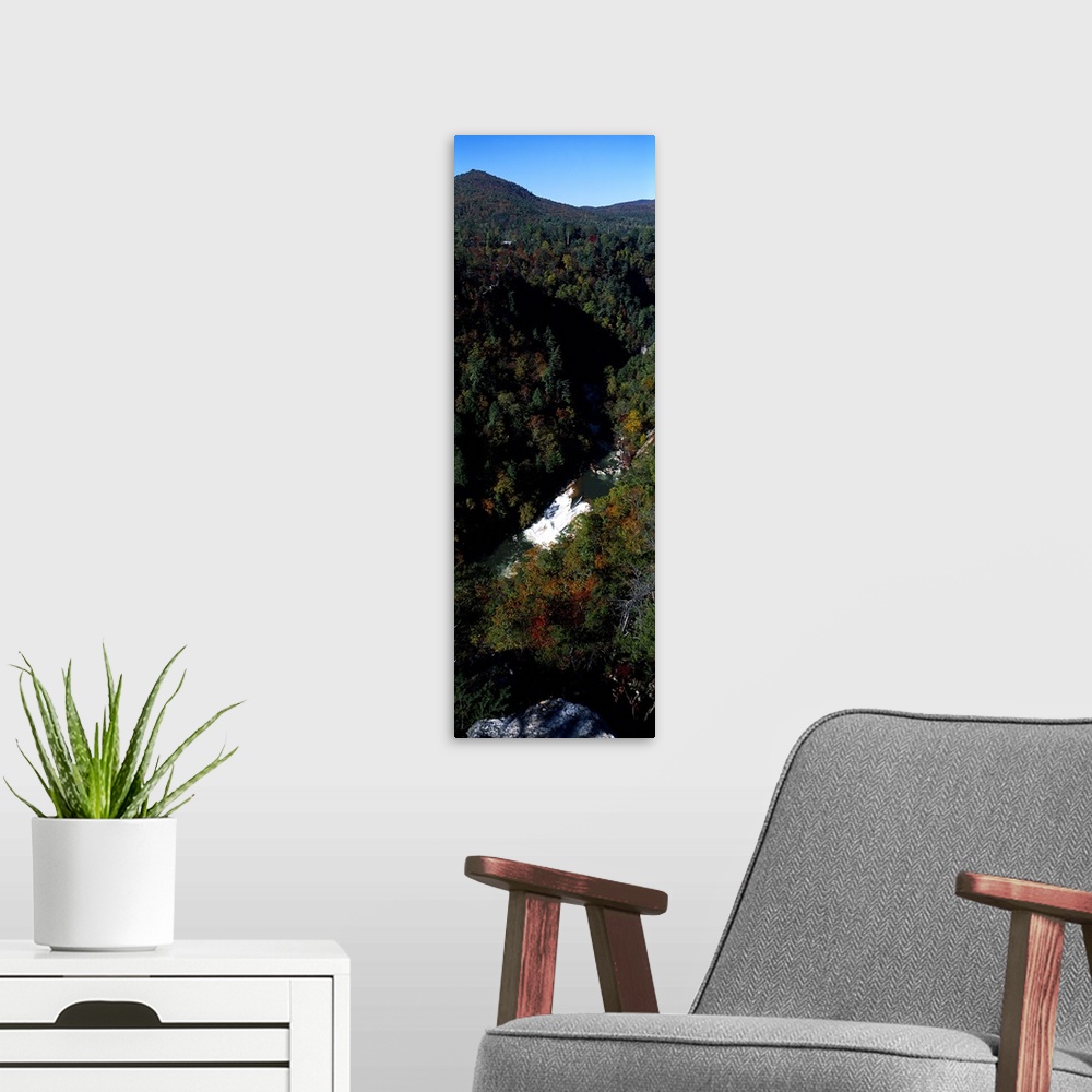 A modern room featuring Oceana Falls, Tallulah Gorge, Georgia, USA
