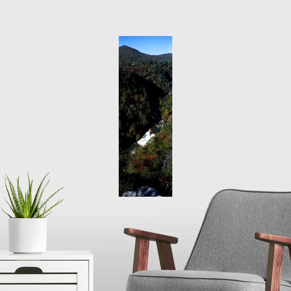 A modern room featuring Oceana Falls, Tallulah Gorge, Georgia, USA