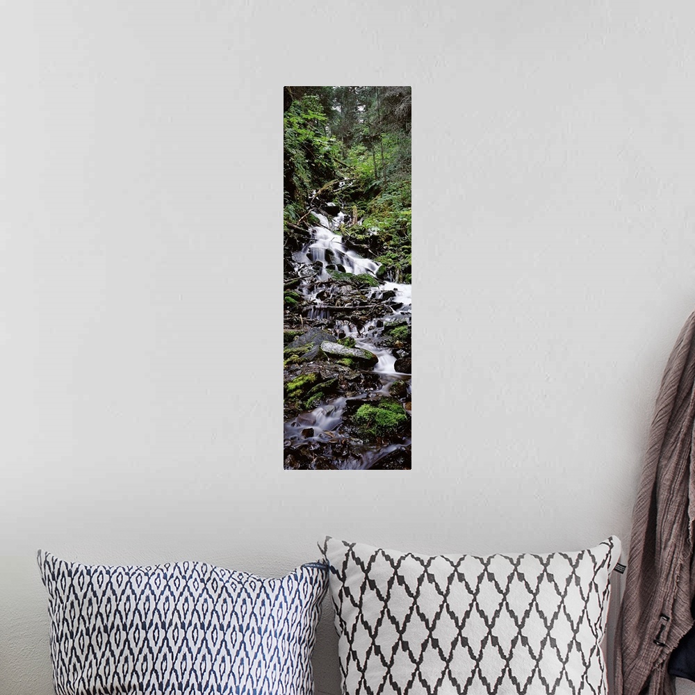 A bohemian room featuring Waterfall in a forest, Seward, Kenai Peninsula Borough, Alaska, USA