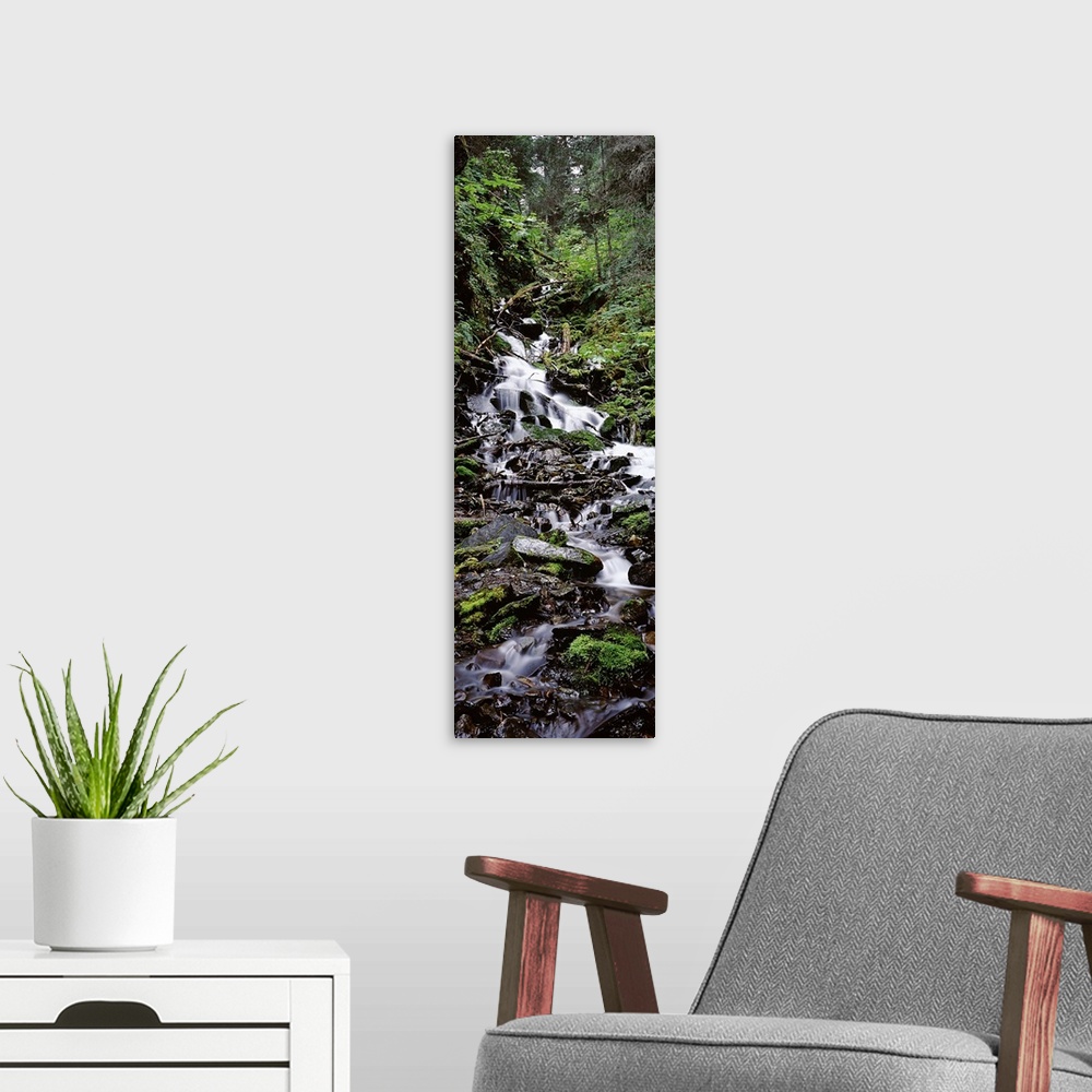 A modern room featuring Waterfall in a forest, Seward, Kenai Peninsula Borough, Alaska, USA