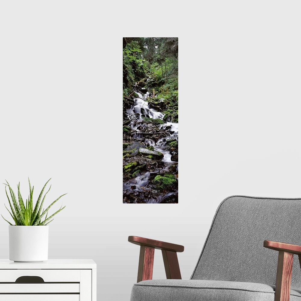 A modern room featuring Waterfall in a forest, Seward, Kenai Peninsula Borough, Alaska, USA