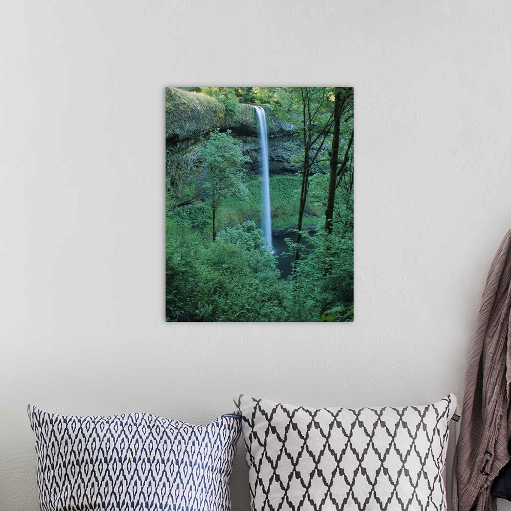 A bohemian room featuring Waterfall in a forest, Silver Falls State Park, Marion County, Oregon