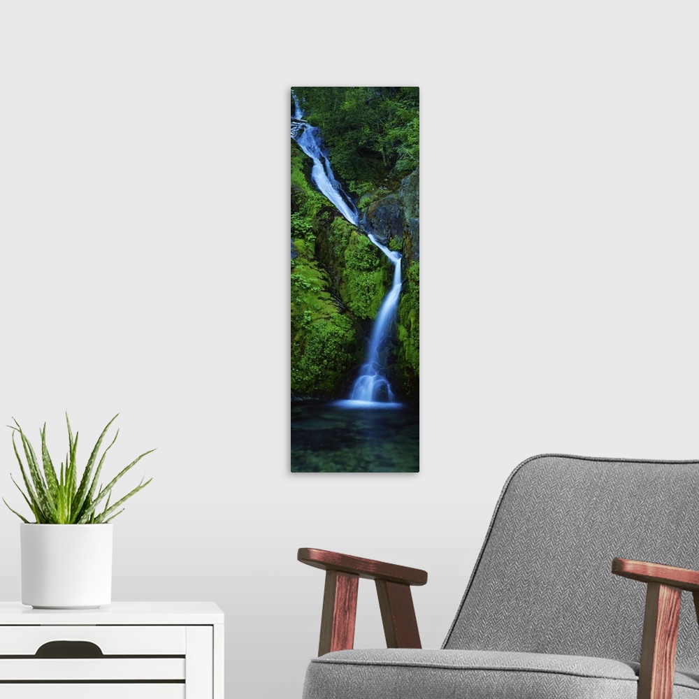 A modern room featuring Waterfall in a forest, Sullivan Falls, Opal Creek Wilderness, Oregon